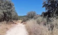 La Federación Vecinal Alcazaba pide un mayor uso de los caminos que discurren por la sierra