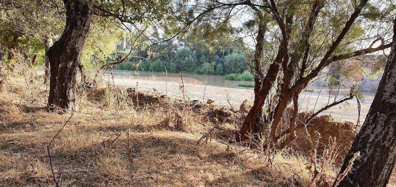 Las soluciones definitivas al tema del río Guadalquivir sigue sin llegar todavía
