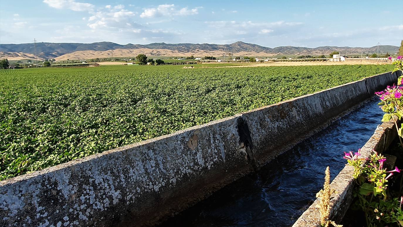 El año hidrológico registra más lluvia pero bajan los pantanos