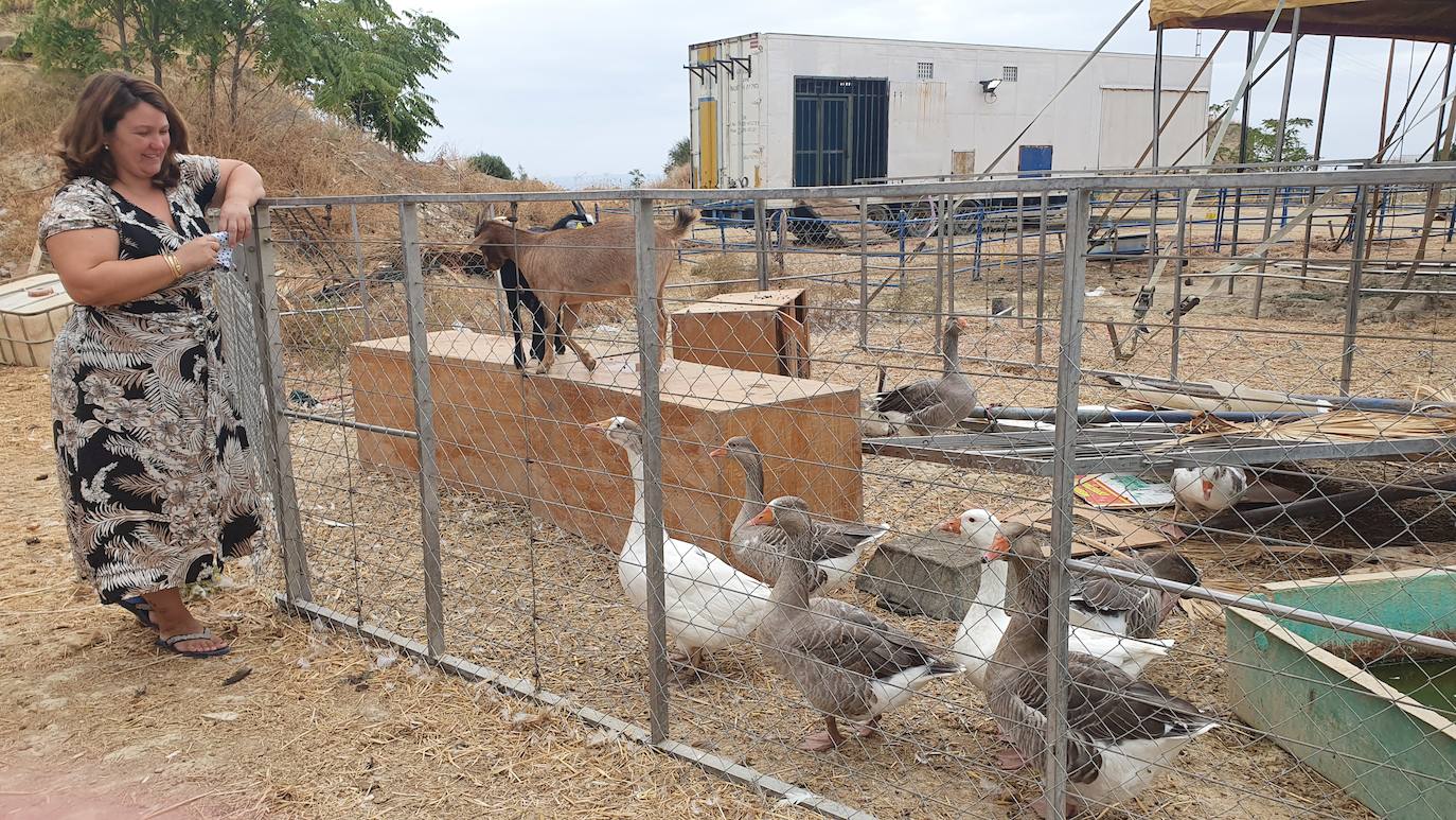 Una familia se queda sin actvidad en su circo y con el 'aviso' de dejar el municipio de Arjona