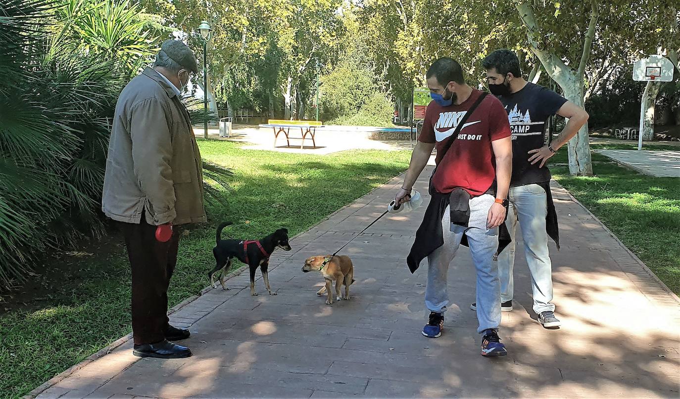 La nueva Ordenanza Municipal cuidará de forma escrupulosa a los animales