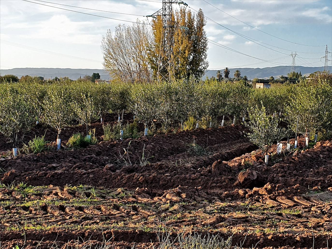 La escasez de agua enciende las alertas en la zona del Rumblar