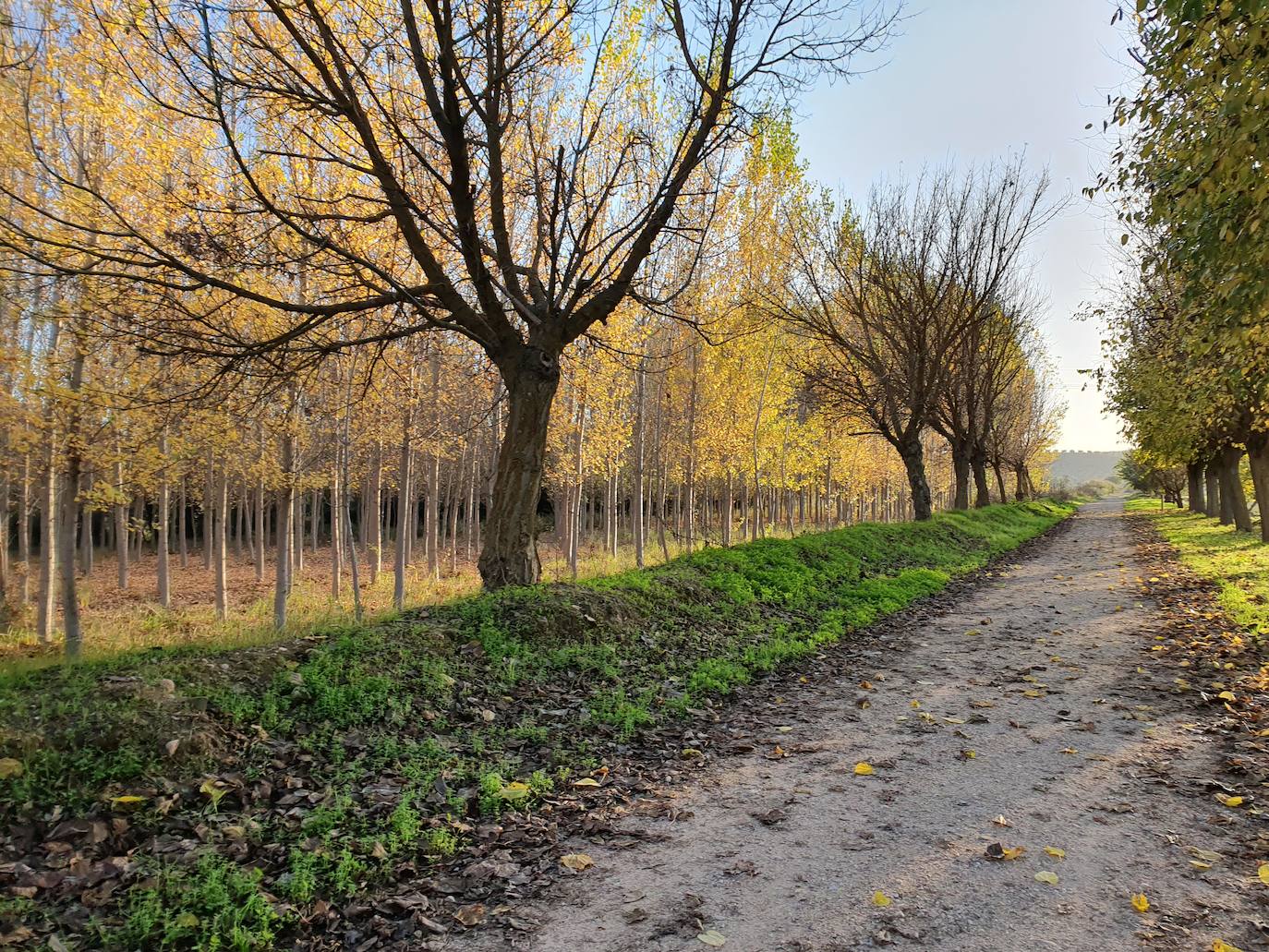 Reclaman el arreglo del camino del malecón de Los Villares de Andújar