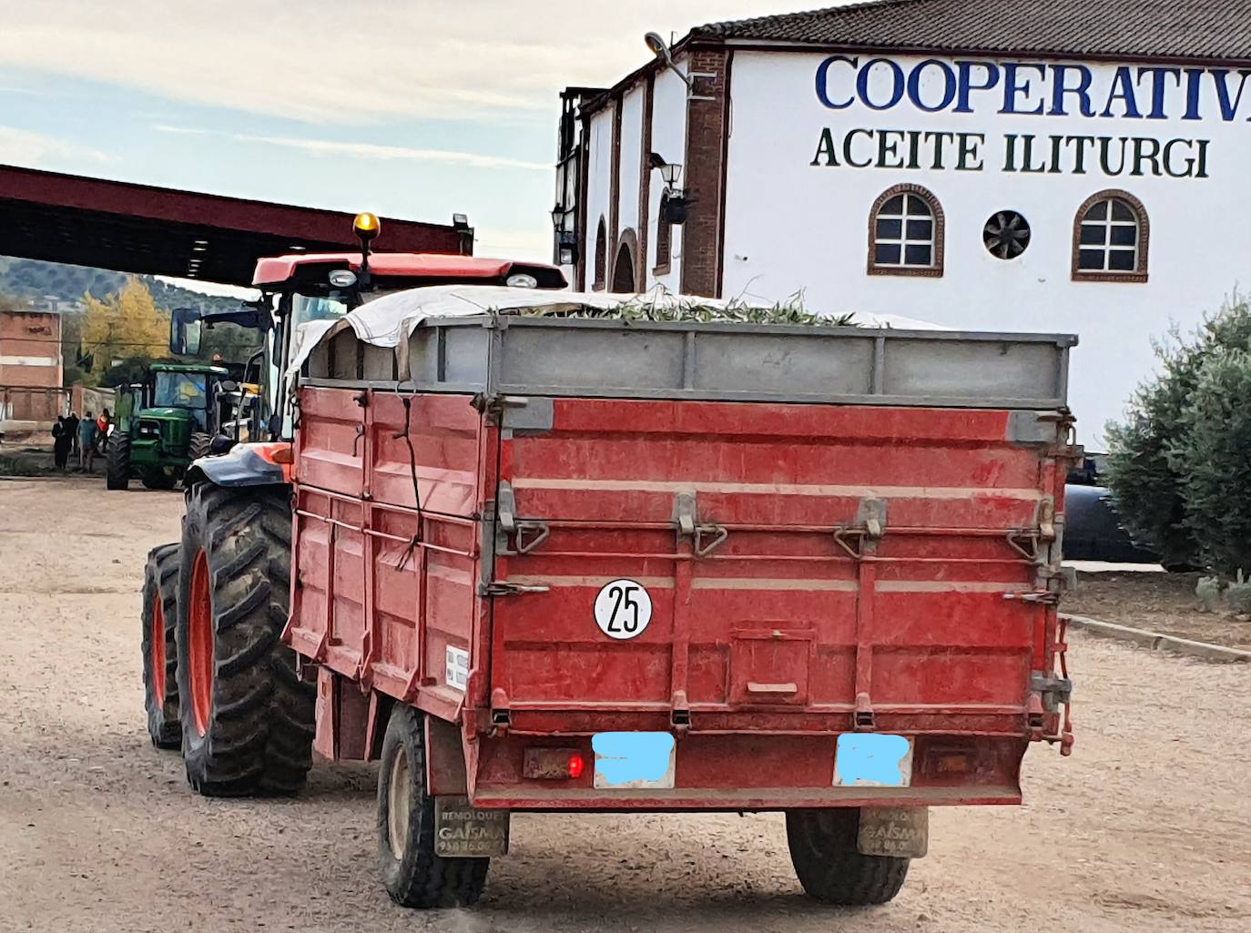 La pandemia limita la atención a los temporeros en la aceituna