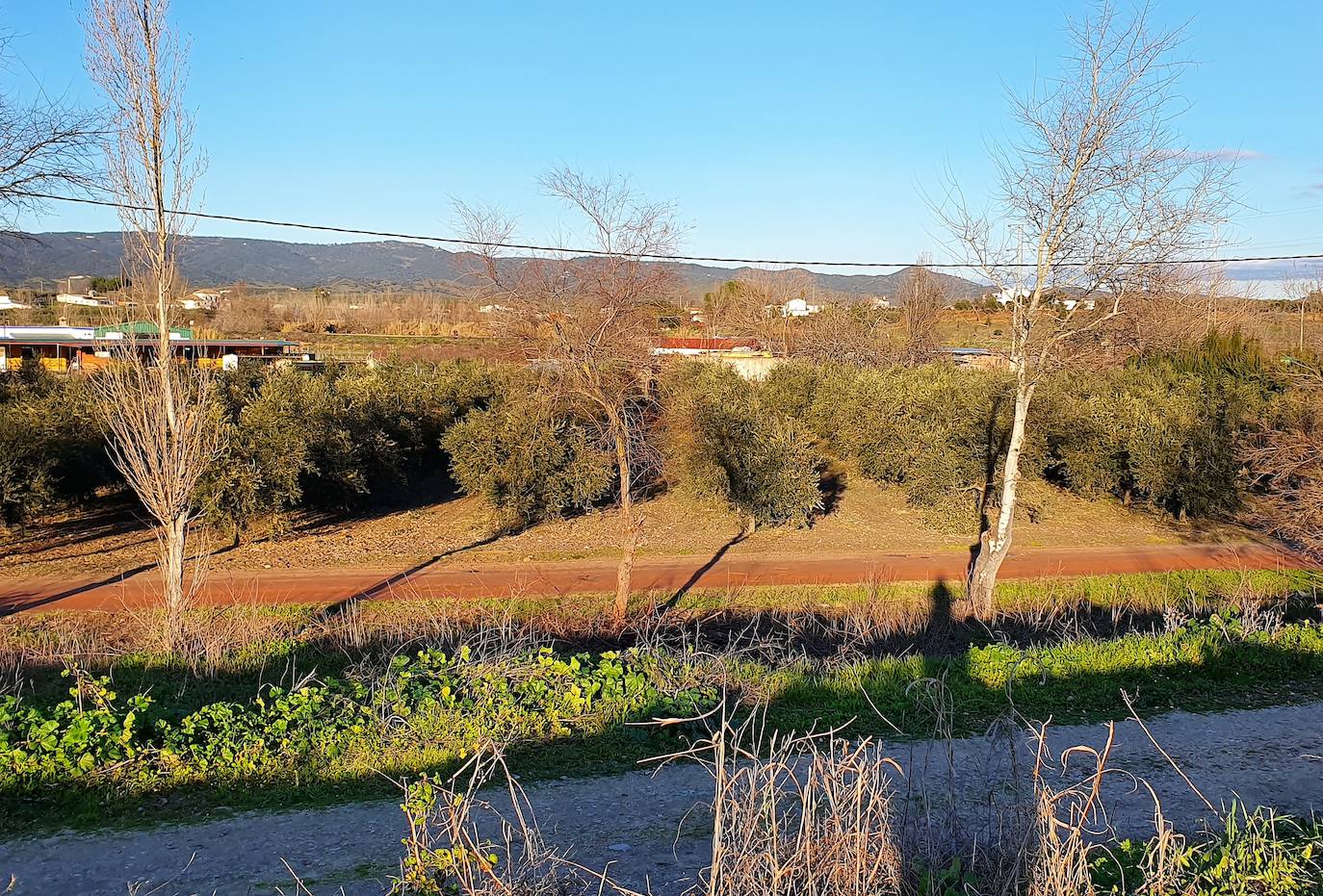 El ciclón 'Filomena' es generoso con el campo de la campiña de la zona que estaba seco