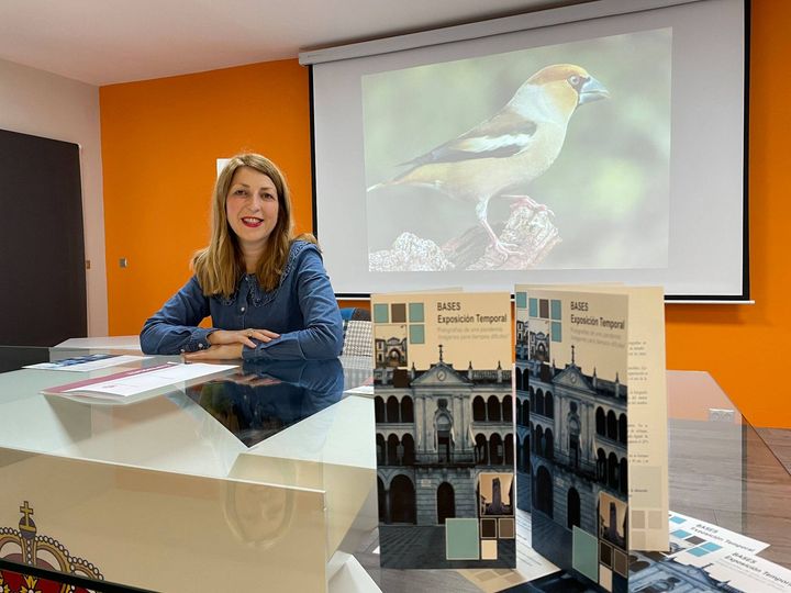 El área de Cultura pone en marcha el certamen 'Fotografías de una pandemia: Imágenes para tiempos difíciles'