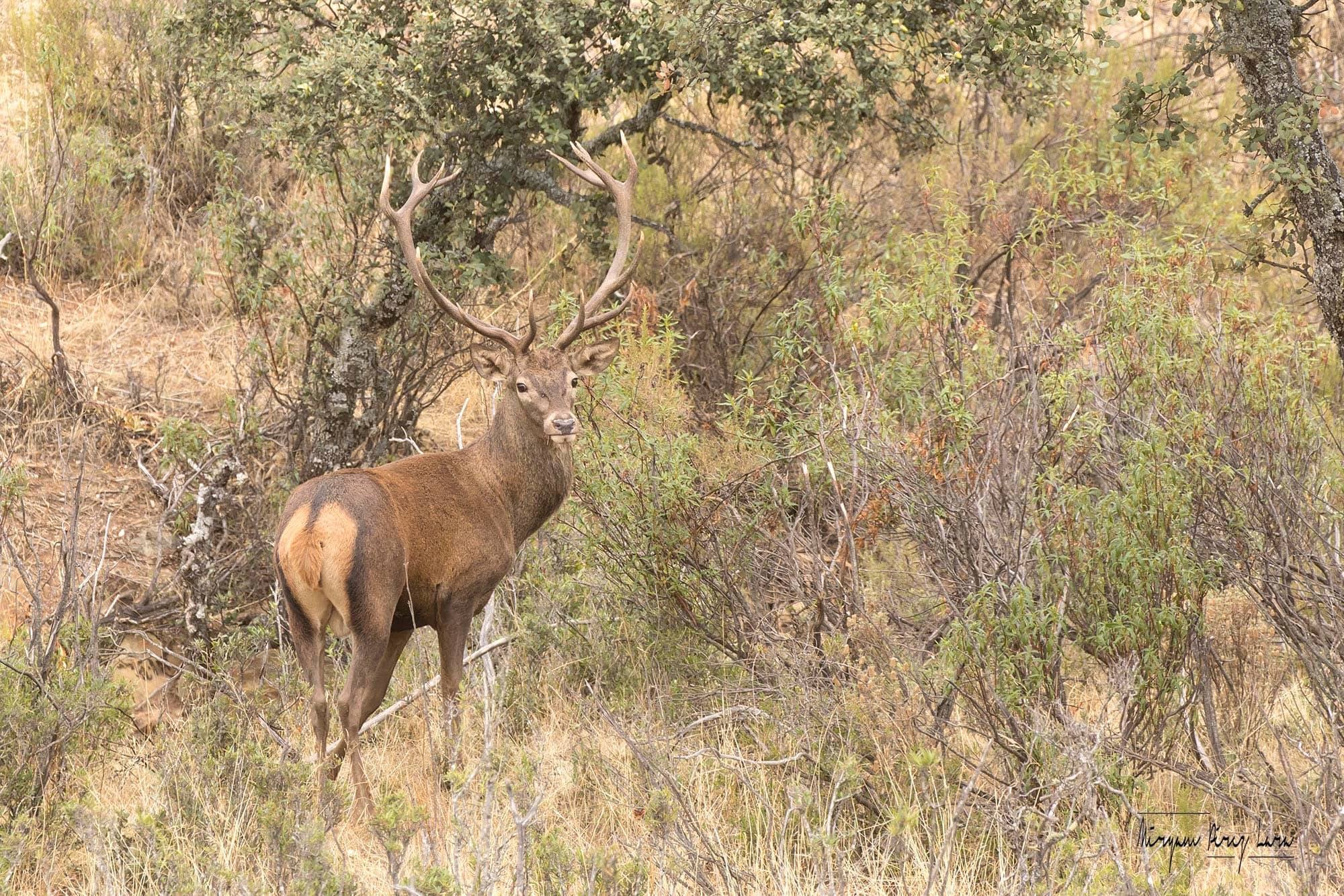 Una muestra fotográfica en la calle enseña los encantos del parque natural Sierra de Andújar