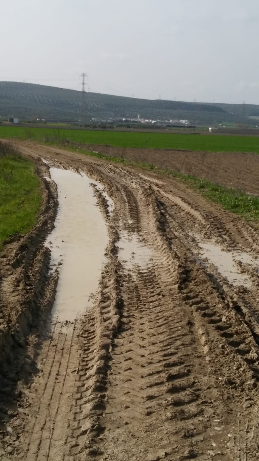 El concejal de Agricultura pide a la Junta que arregle varios caminos rurales del municipio que son de su competencia