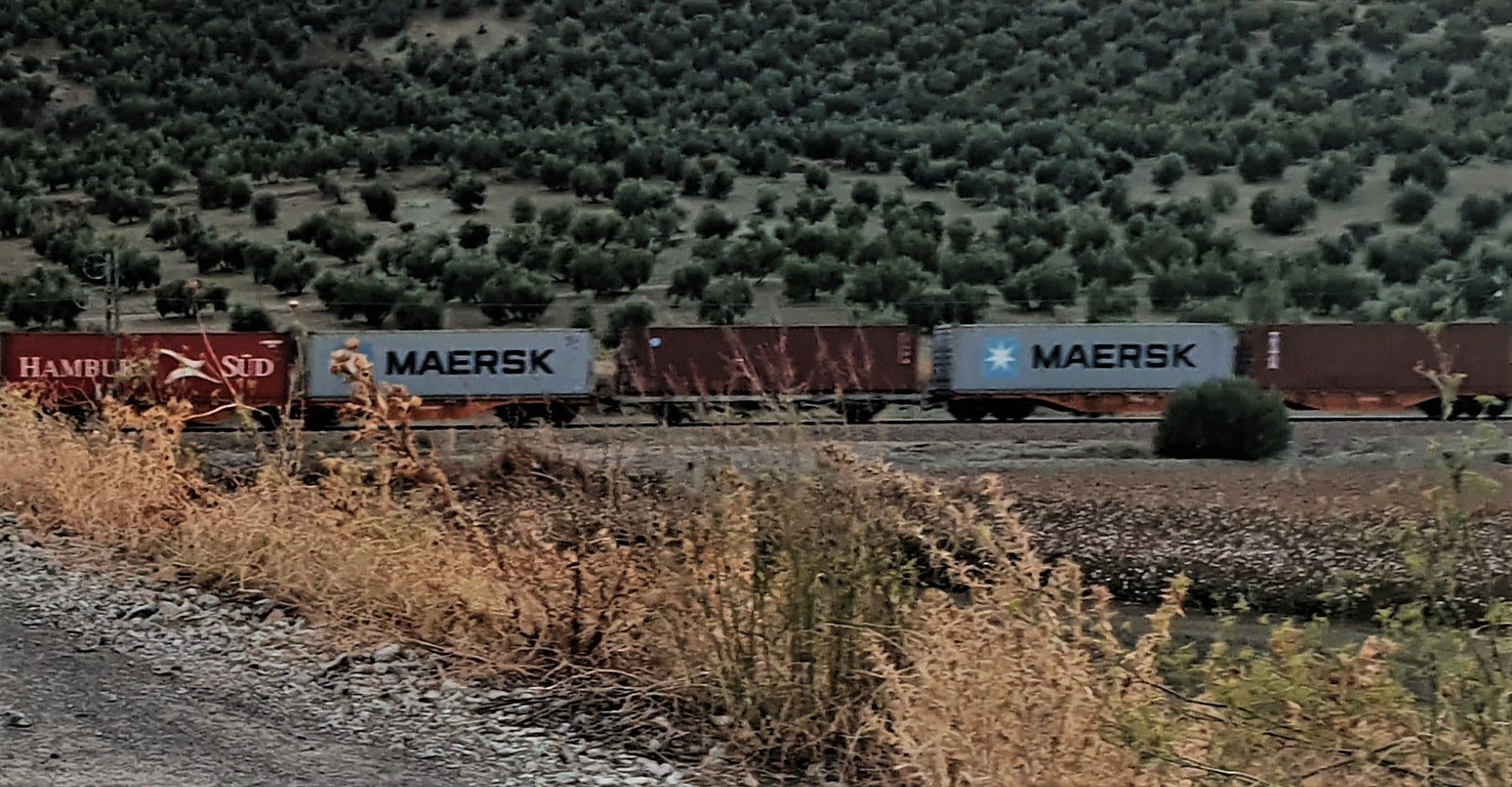 El Ayuntamiento se va a adherir hoy en el pleno a la Asociación de Red del Ramal Central del Tren