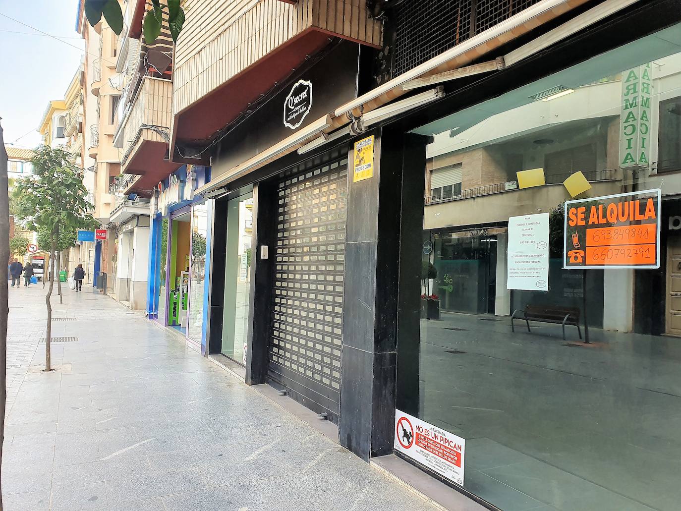 El PP denuncia que el Consistorio «da la espalda» a las empresas locales