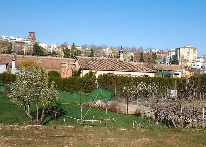 Las últimas restricciones en riegos sitúan en alerta el desarrollo de algunos cultivos de la zona