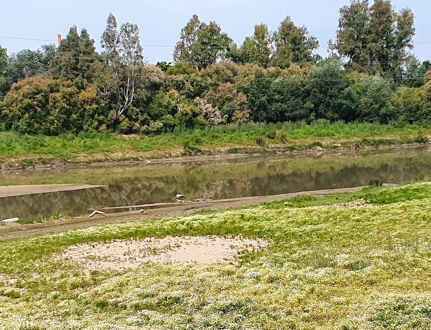 Una patrulla verde eliminará los vertidos que se arrojan en los ríos del municipio