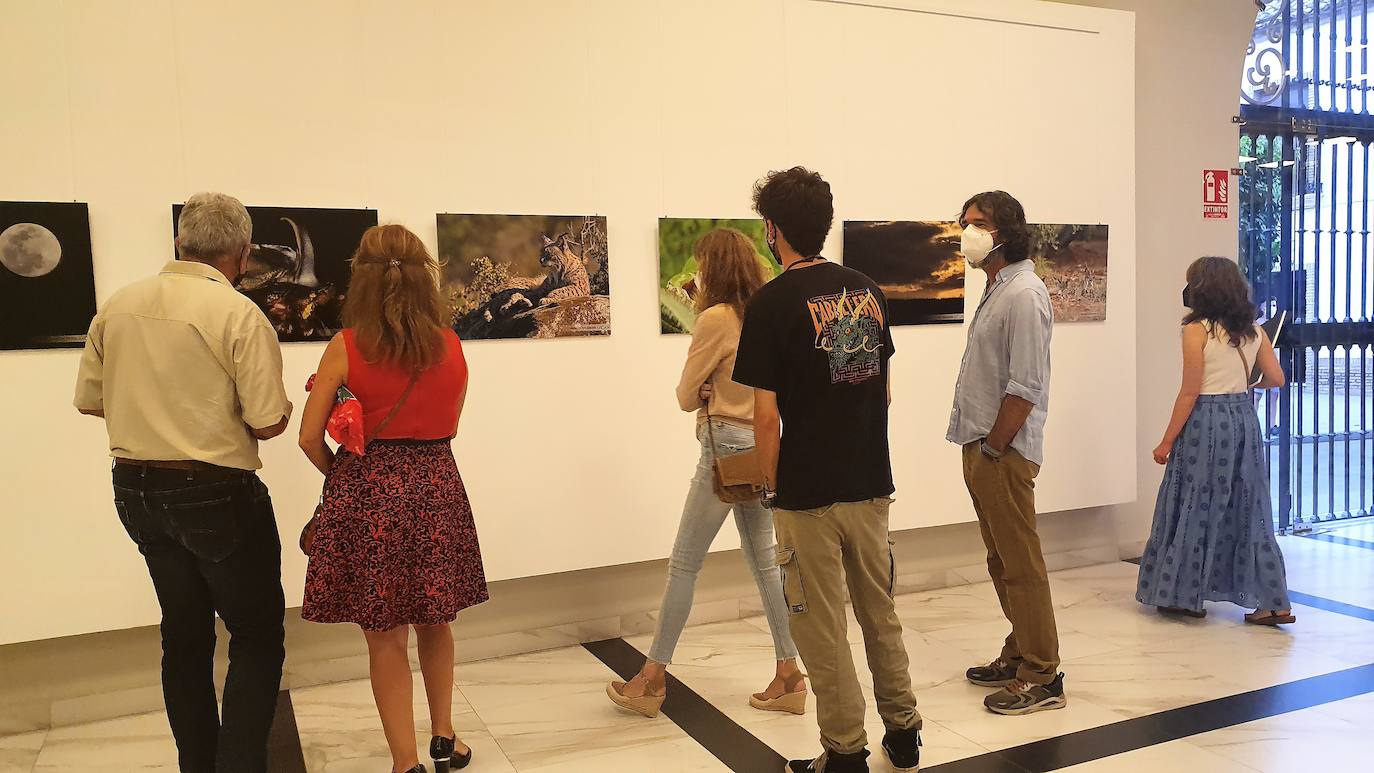 Afoan certifica su pedigrí en la novena muestra fotográfica