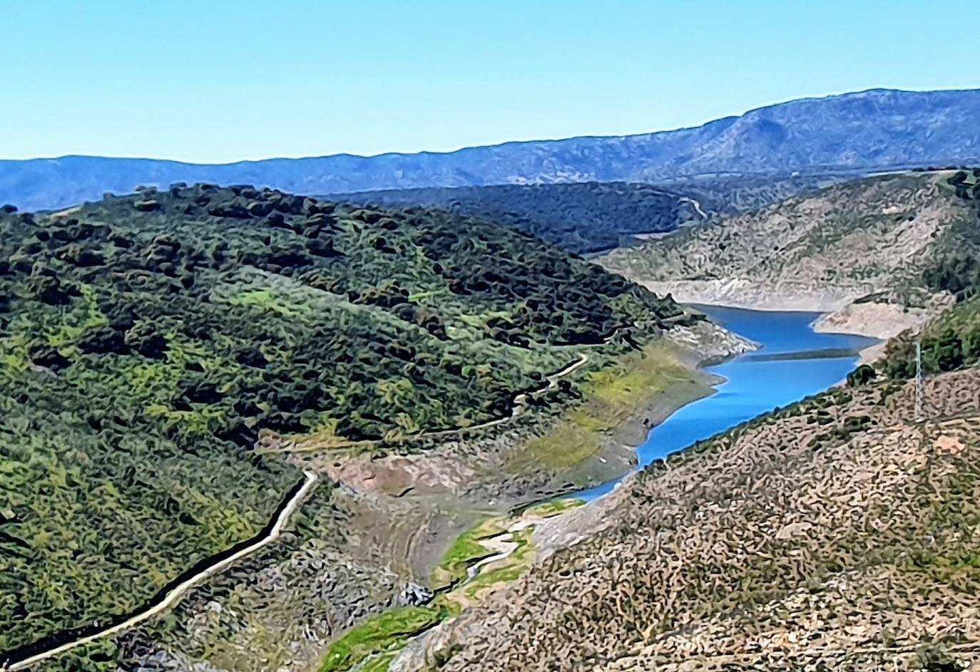Coag dice que la sequía amenaza la campaña del aceite en la zona