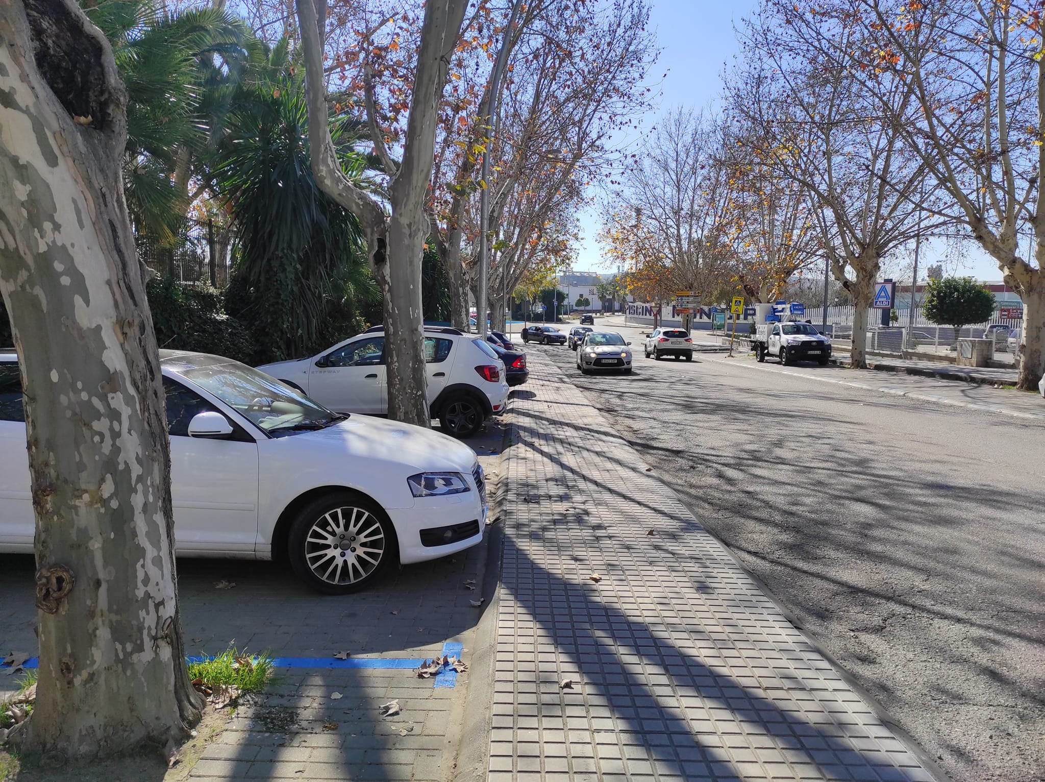 Andalucía por sí critica la ubicación de la zona azul en Colón