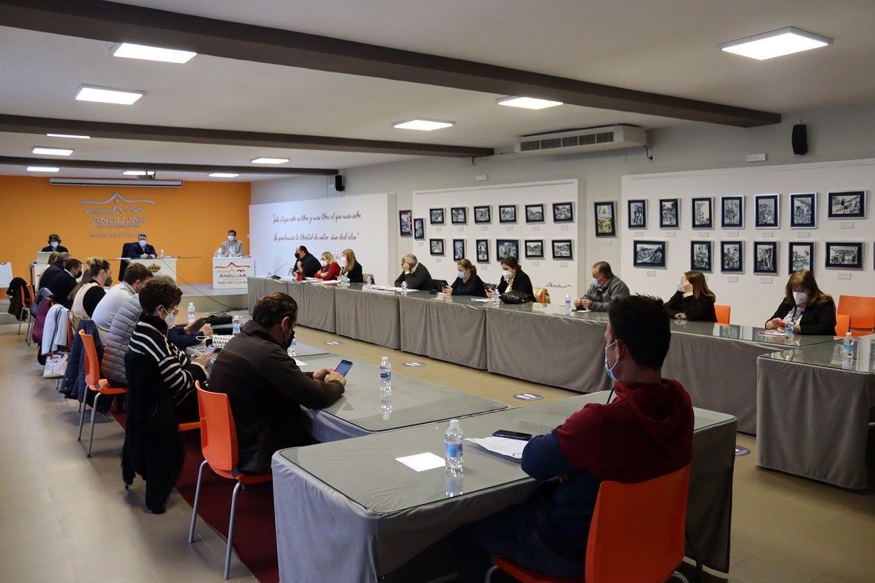 El pleno da luz a la regeneración de Colón y la ribera del río Guadalquivir de Andújar