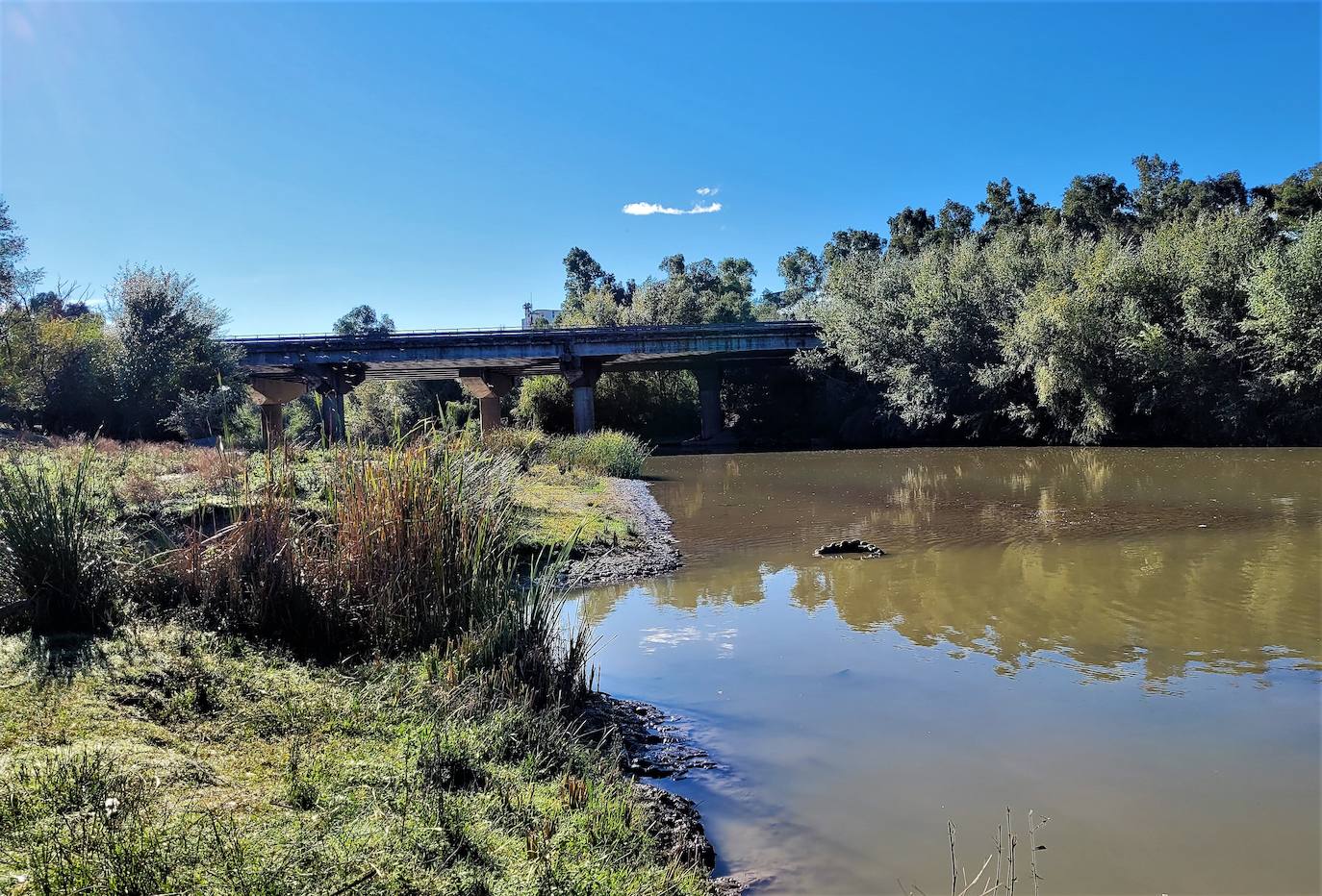 El Consistorio de Andújar se embarca de lleno en la integración deseada del río en la ciudad