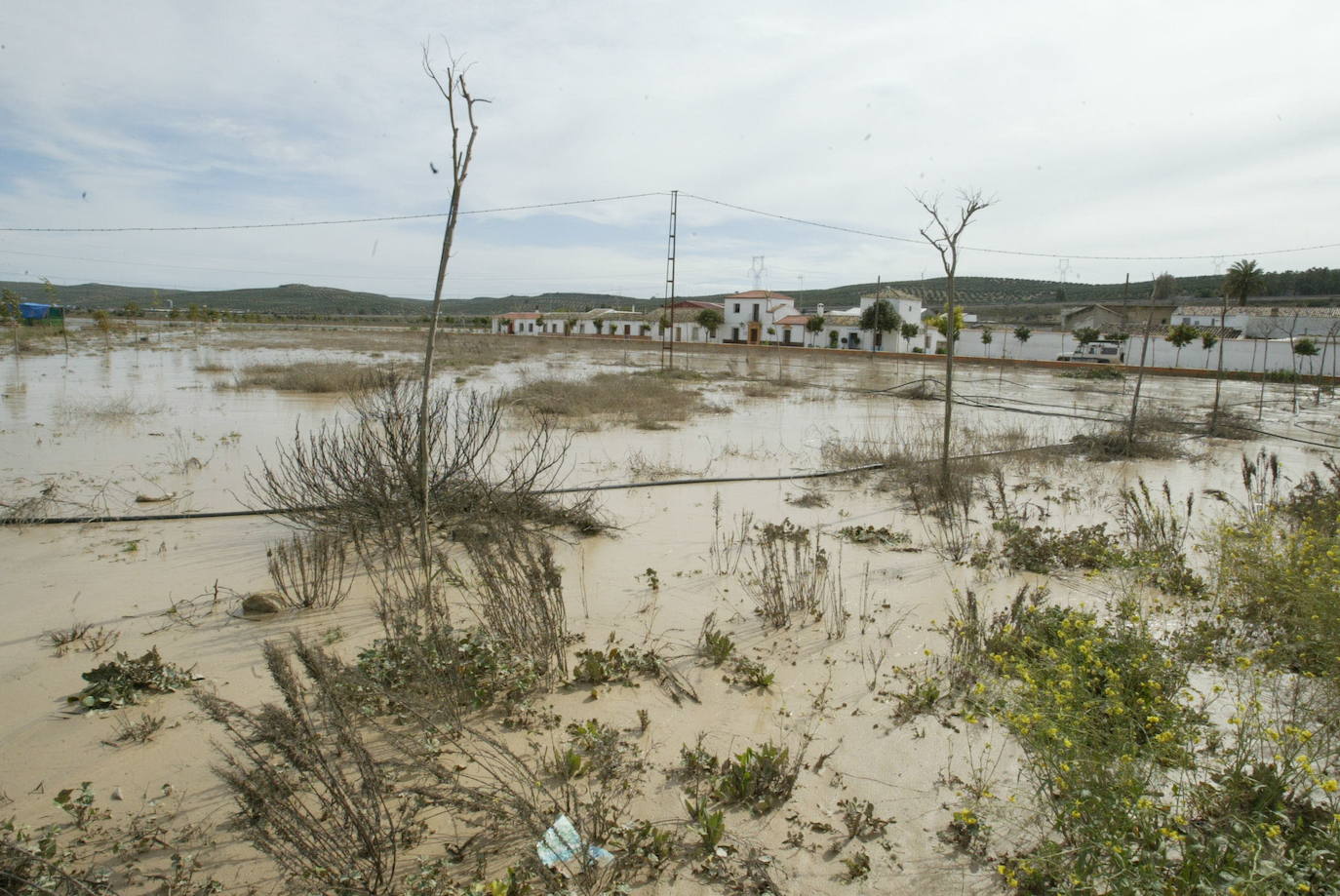 UPA Jaén y la Plataforma del Río Guadalquivir agradecen a la Junta la celeridad en el pago de las indemnizaciones por las inundaciones de 2010