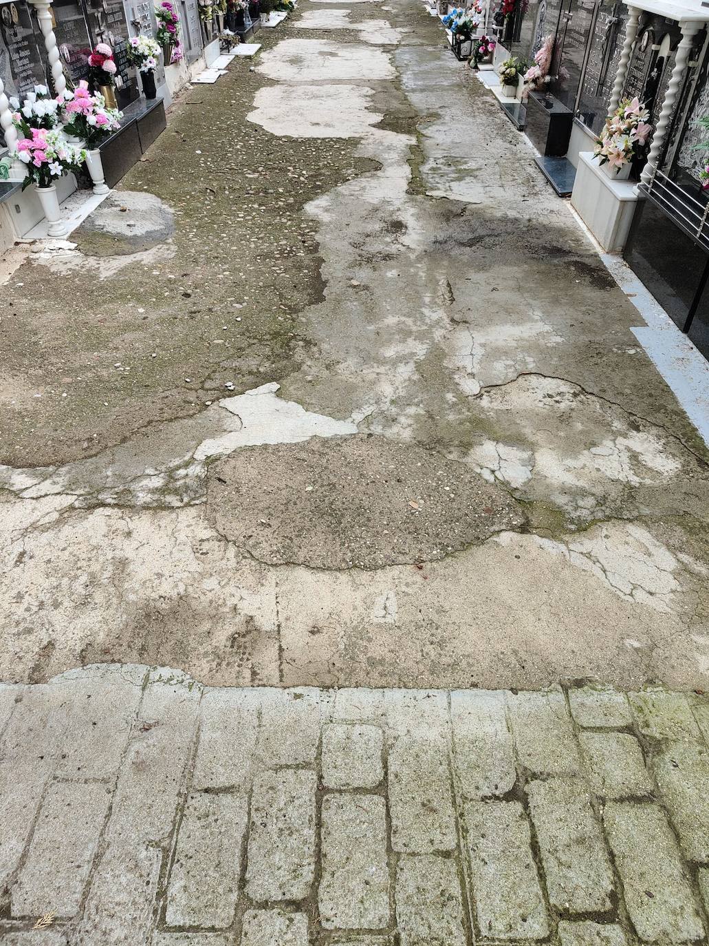 Personas usuarias denuncian mal estado del Cementerio de Andújar