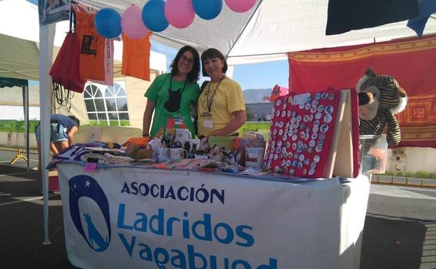 Armilla celebra la primera Gran Recogida Solidaria de Alimentos para perros y gatos