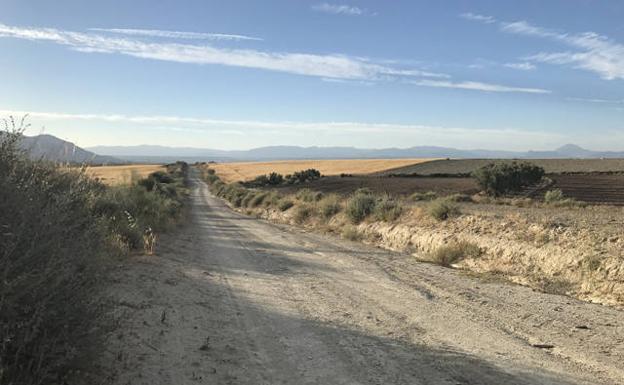 Un fallecido al volcar su tractor en Caniles