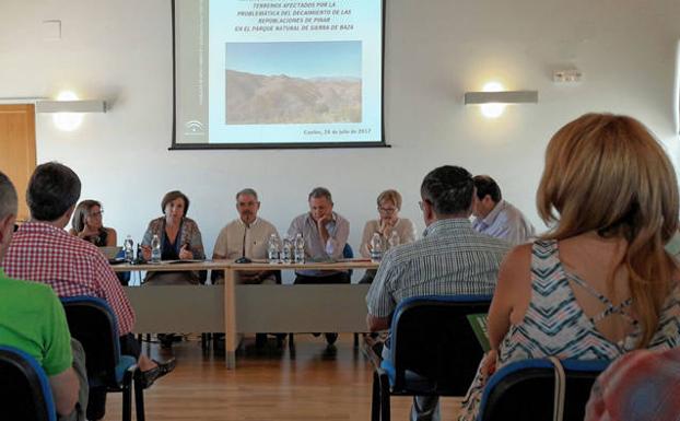 La Junta aplaza hasta septiembre la restauración forestal de 2.000 hectáreas del Parque Natural de la Sierra de Baza
