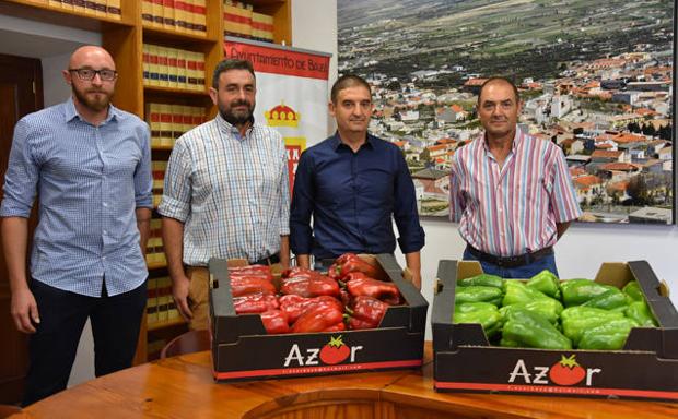 Nace el Banco de Tierras para recuperar parcelas de cultivo sin uso