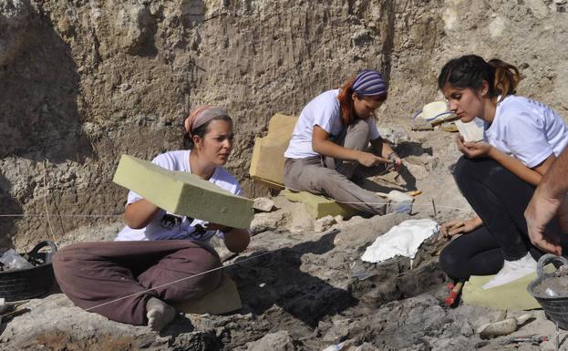 Promueven la excavación en un yacimiento de Baza con cuatro millones de años de antigüedad