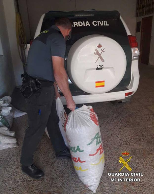 Detenidos tres extranjeros residentes en Baza por hurto de almendras