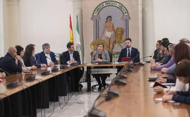 55 ayuntamientos, Diputación y Junta piden al Gobierno de España la línea eléctrica Caparacena-Baza-La Ribina