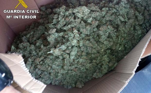 Interceptado en la A-92 N un vehículo con 12 kilos de cogollos de marihuana