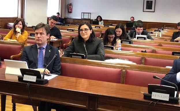 El PP critica que el PSOE traslade al Senado "el debate sobre la línea 400 Kv"