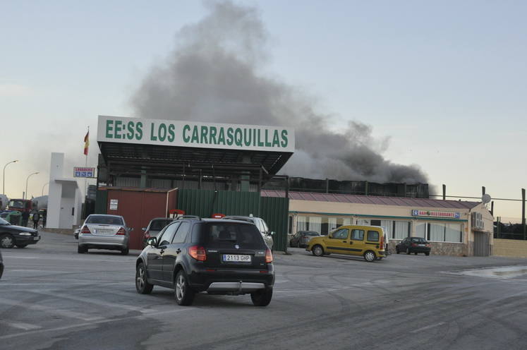 El incendio de Caniles, en imágenes
