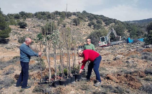 La Asociación Proyecto Sierra de Baza celebra el Día del Bosque