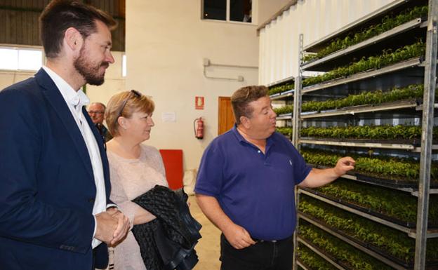 'Viveros Zuaime', en Caniles, referente en innovación y proyección al exterior