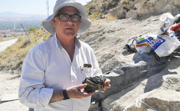 La cuarta temporada de excavaciones paleontológicas en Baza- 1 comienza a dar sus primeros resultados