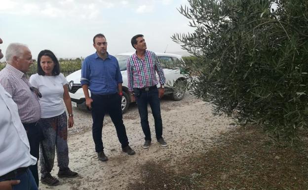 La Junta cifra en más de 16,7 millones los daños del granizo en Baza y Cúllar