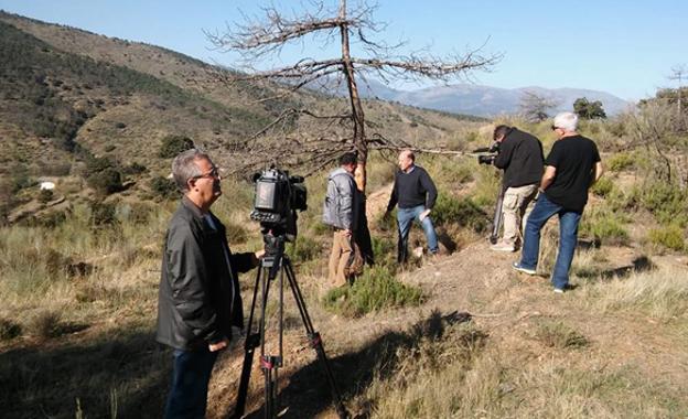 Las plagas de la Sierra de Baza hoy en 'El escarabajo verde'