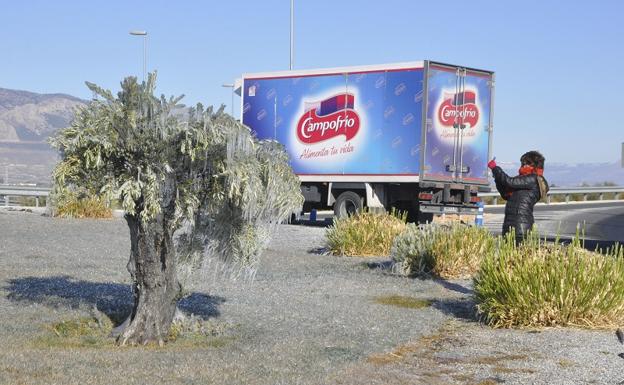 Baza fija el récord de frío en Andalucía, con 7,5 grados bajo cero