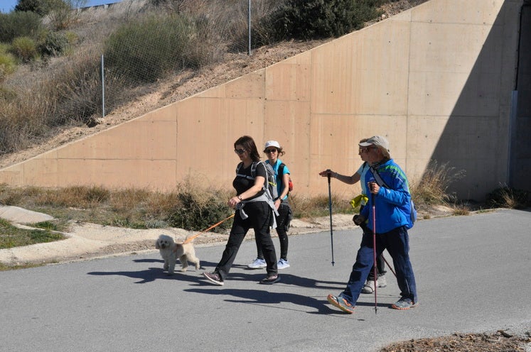 276 participantes en la primera prueba del circuito de carreras populares de Baza