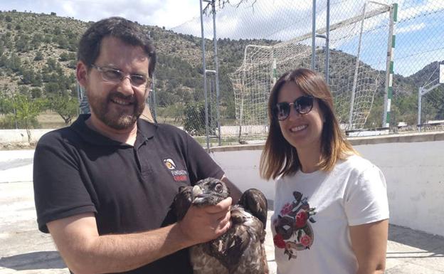 La Junta libera dos nuevos pollos de quebrantahuesos en la Sierra de Castril