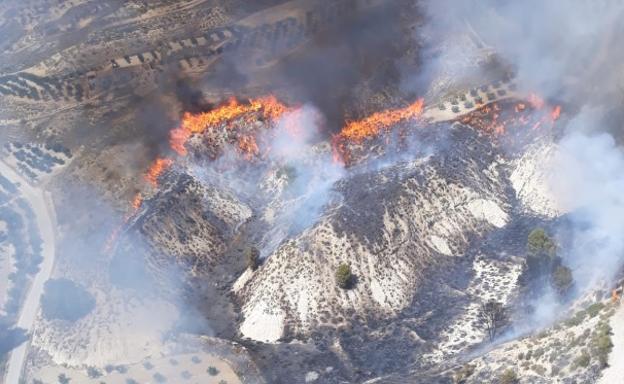 Extinguido el incendio en una ladera de monte en Cortes de Baza
