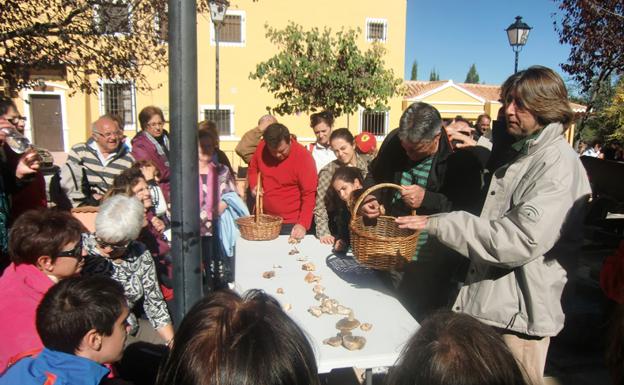 La Junta adjudicará el aprovechamiento de las setas a los Ayuntamientos del Parque Natural Sierra de Baza
