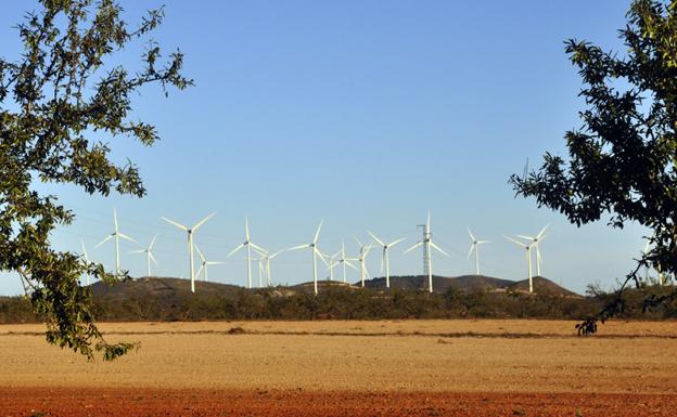 Reunión de los promotores de parques de renovables con el alcalde de Baza