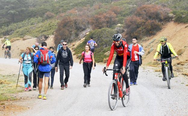 250 participantes en la subida a los Prados del Rey
