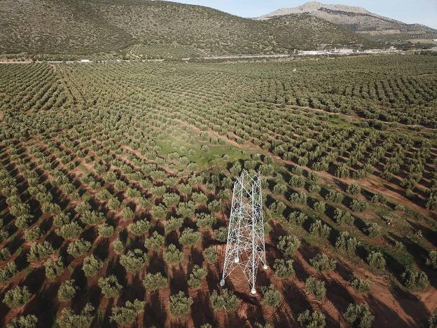 La obra de la línea eléctrica de Baza continúa pese al expediente de la Junta