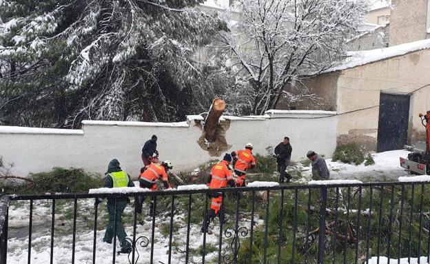 La intensa nevada provocó un gran atasco en la A-92 N entre Baza y Guadix
