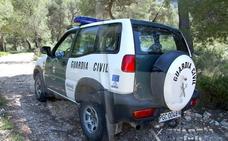 La Guardia Civil descubre un vivero donde se vendía ilegalmente una variedad protegida de almendro