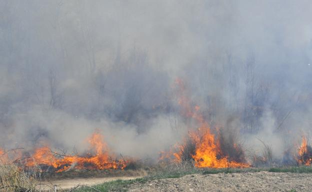 Agricultura reanuda las autorizaciones de quemas de residuos agrícolas