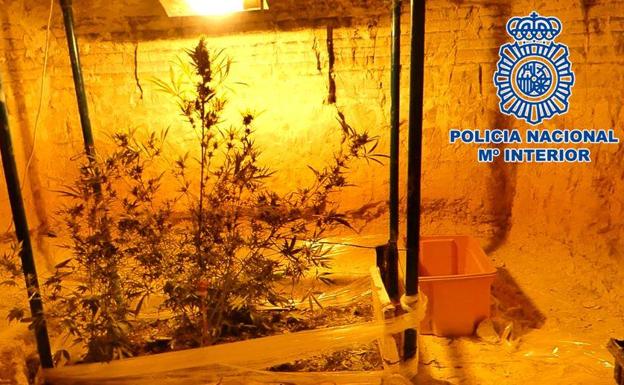 Detenido un varón por amenazar con una catana a la policía y tener tres kilos de marihuana en bruto en Baza